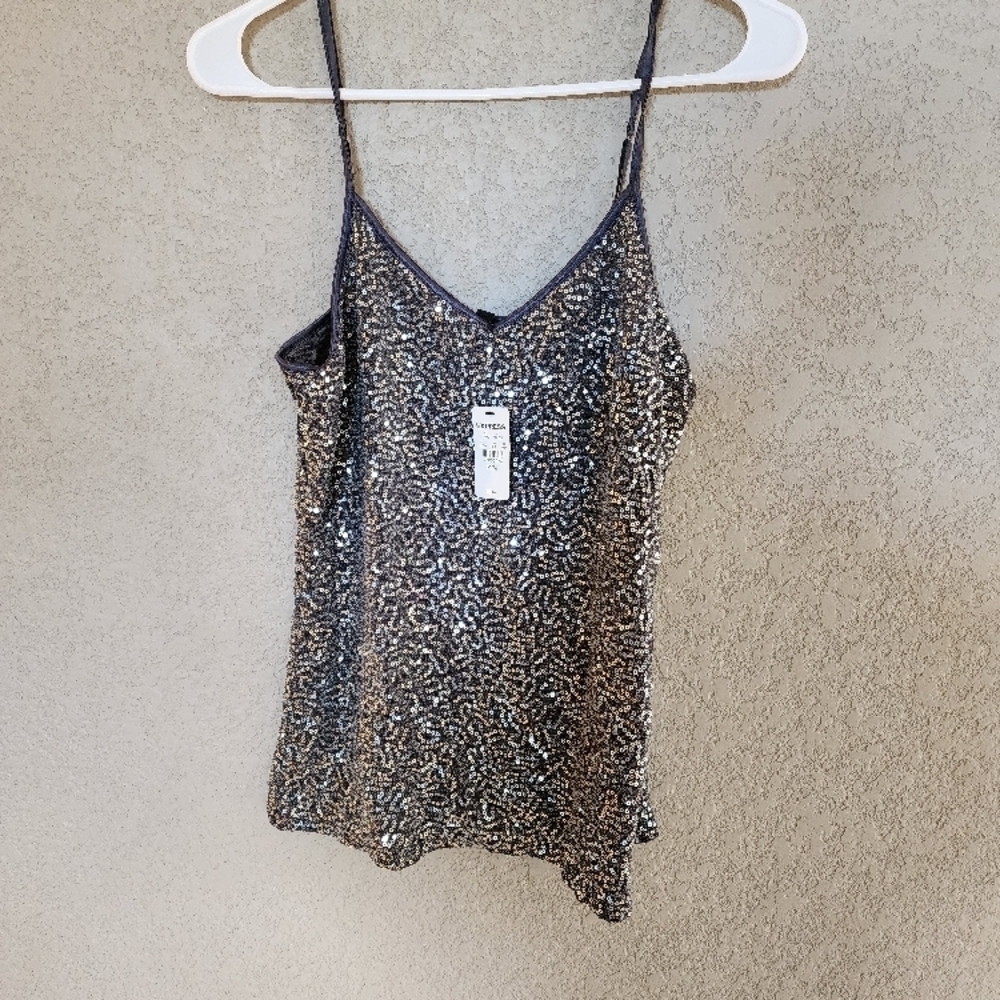 Express Silver Sequin Top